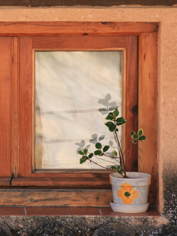 contactar con Alberto Pérez Buj