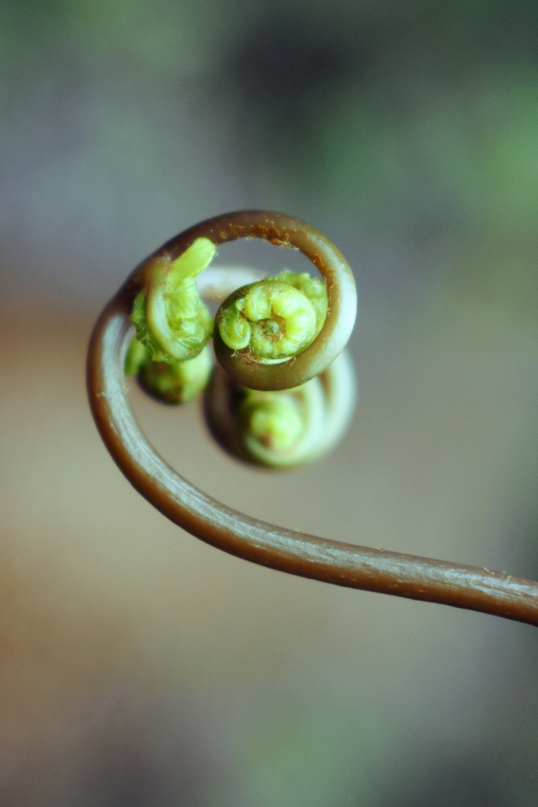 coach personal y profesional Alberto Pérez Buj crecimiento y desarrollo personal