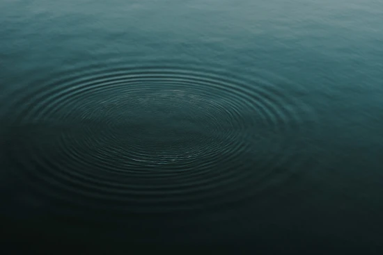 Meditar o Mindfulness